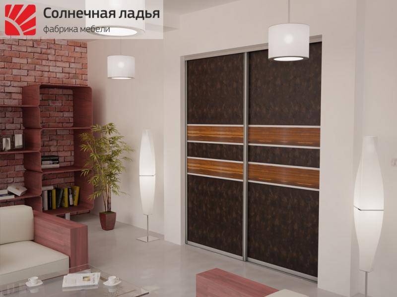 шкаф - купе для гостиной 17 в Костроме