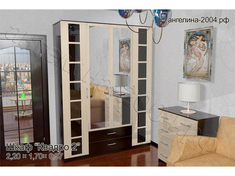 шкаф квадро 2 в Костроме