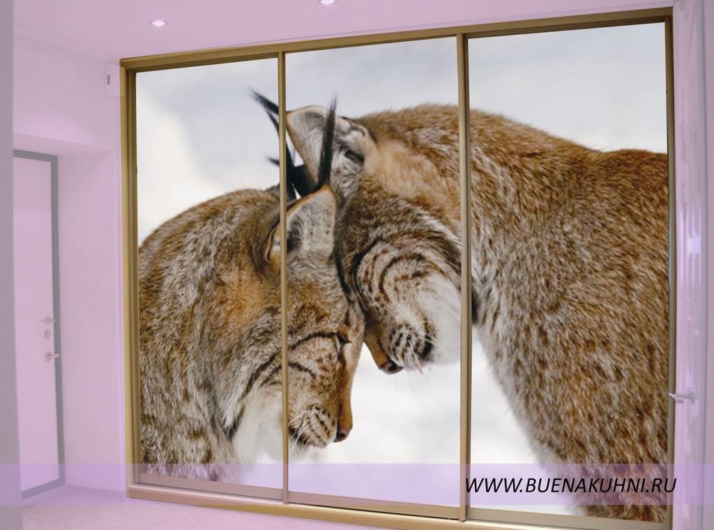 шкаф-купе в Костроме