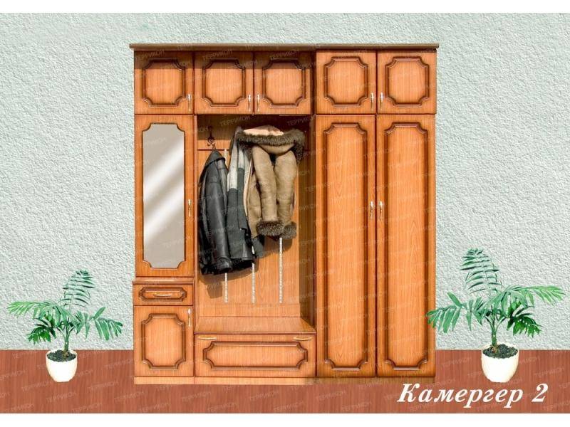 прихожая камергер 2 в Костроме