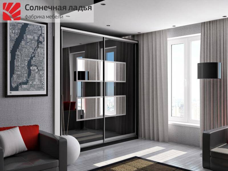 шкаф - купе для гостиной 6 в Костроме