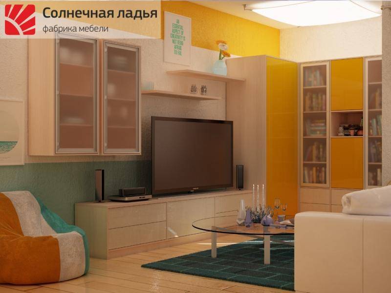 шкаф - купе для гостиной 15 в Костроме