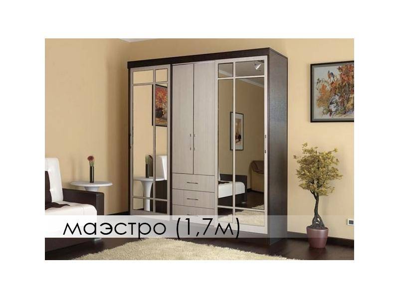шкаф-купе маэстро в Костроме