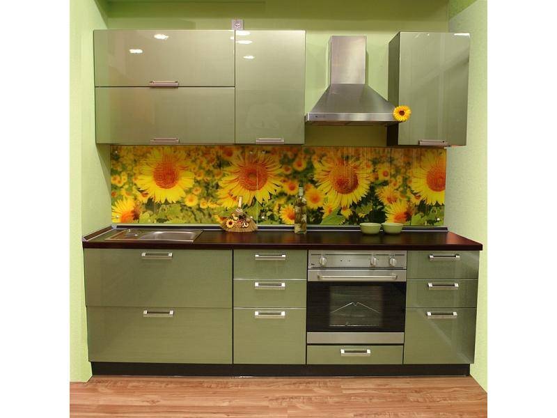 крашенная кухня тефида в Костроме