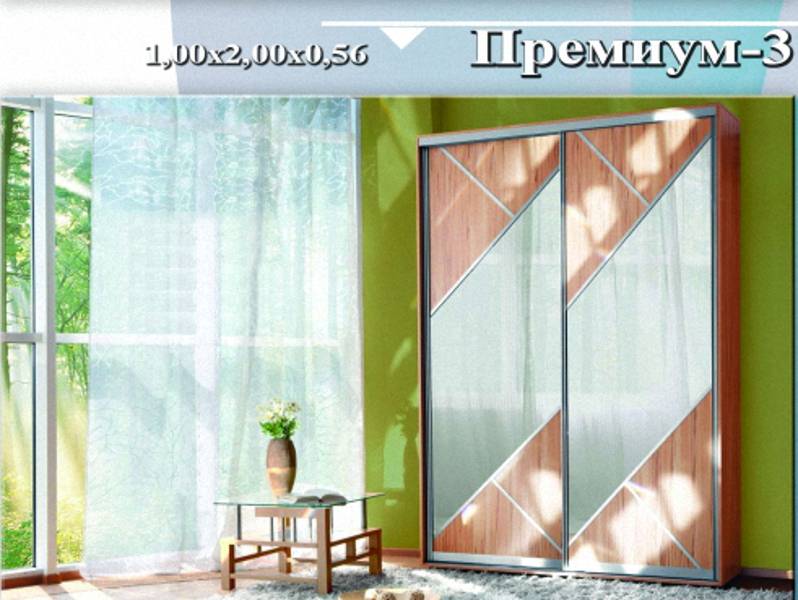 шкаф-купе «премиум 3» в Костроме
