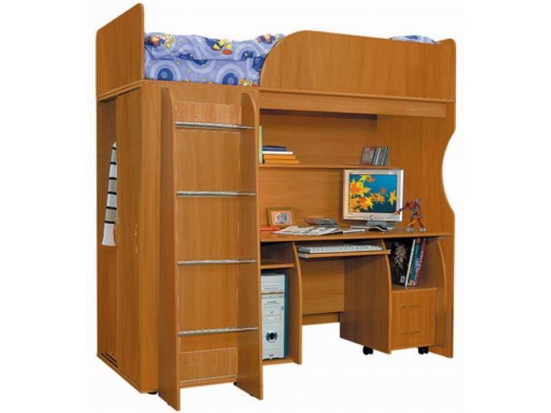 детская мишутка в Костроме