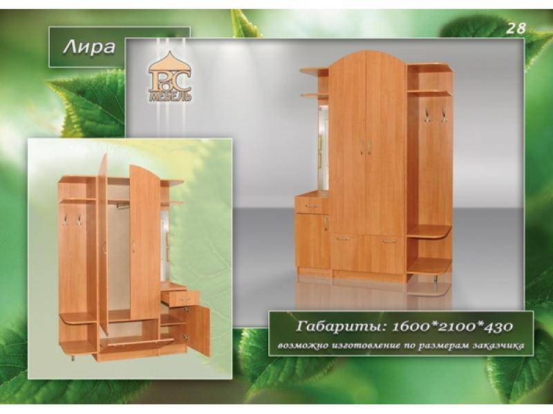 прихожая лира в Костроме