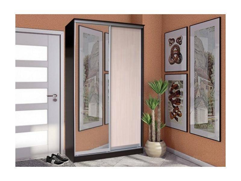шкаф-купе 2 створки с зеркалом стандарт в Костроме