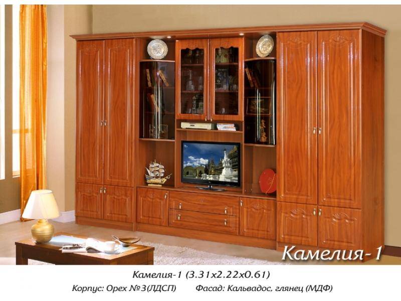 гостиная стенка камелия в Костроме