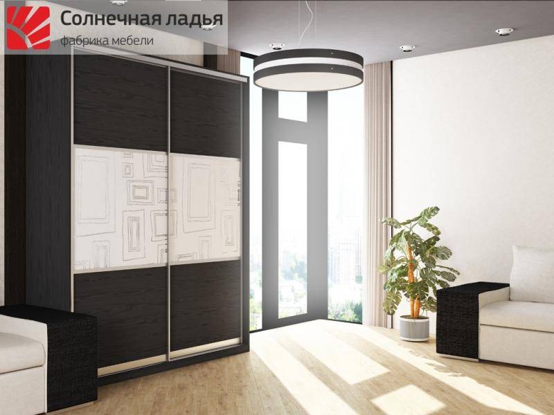 шкаф - купе для гостиной 4 в Костроме