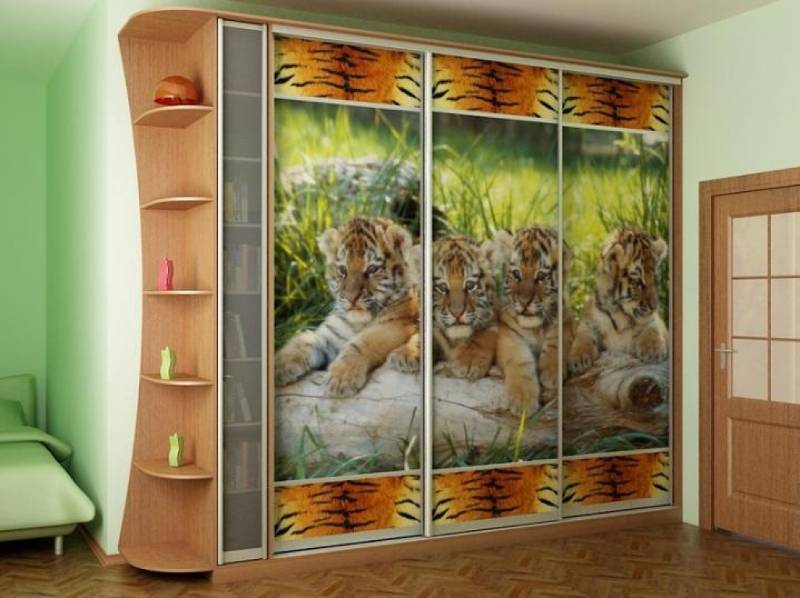 шкаф-купе 23 в Костроме