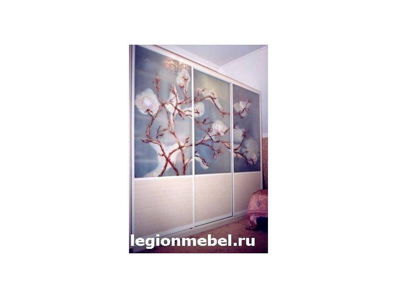 шкаф-купе с фотопечатью в Костроме
