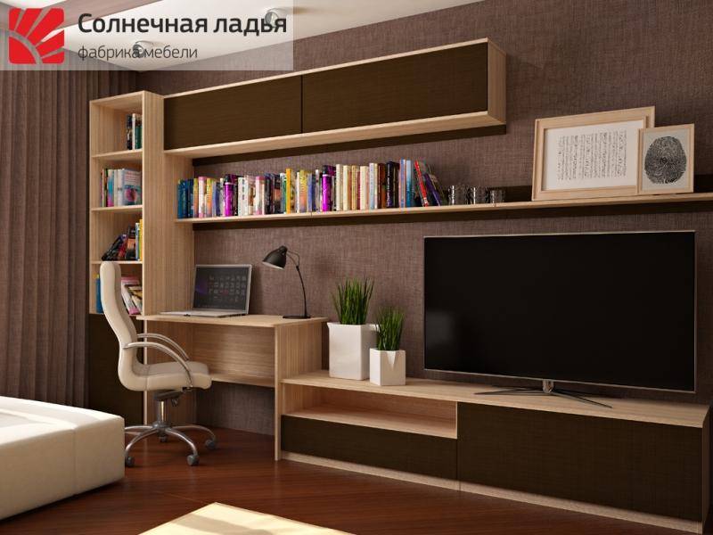 шкаф - купе для гостиной 13 в Костроме