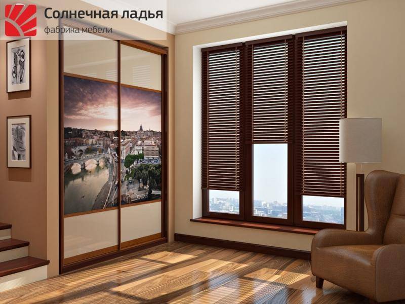 шкаф - купе для гостиной 9 в Костроме