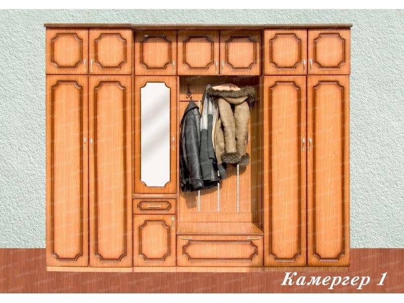 прихожая камергер 1 в Костроме