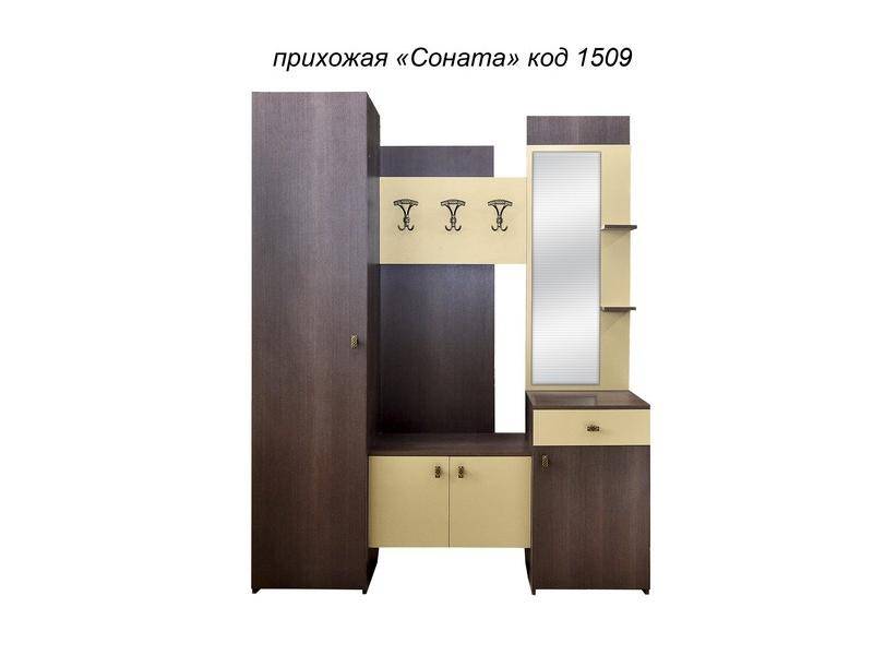 прихожая соната в Костроме