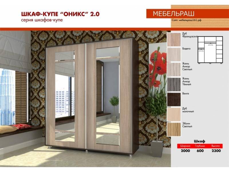 шкаф-купе прямой с зеркалами оникс 2.0 в Костроме
