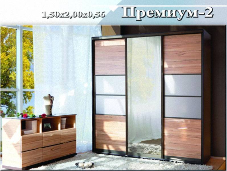 шкаф-купе «премиум 2» в Костроме