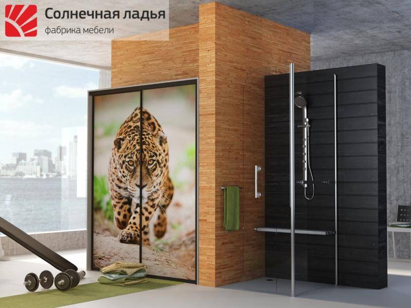 шкаф - купе фотопечать 4 в Костроме