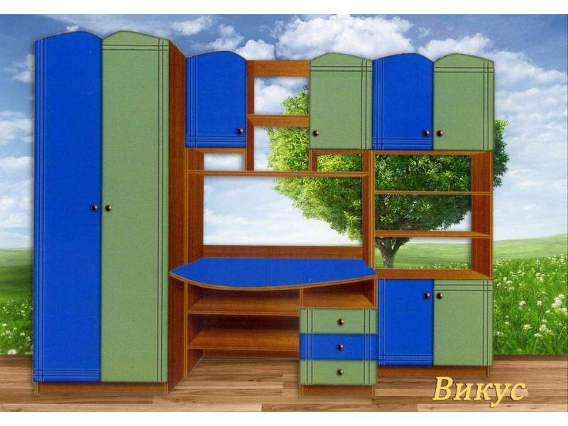 детская викус в Костроме