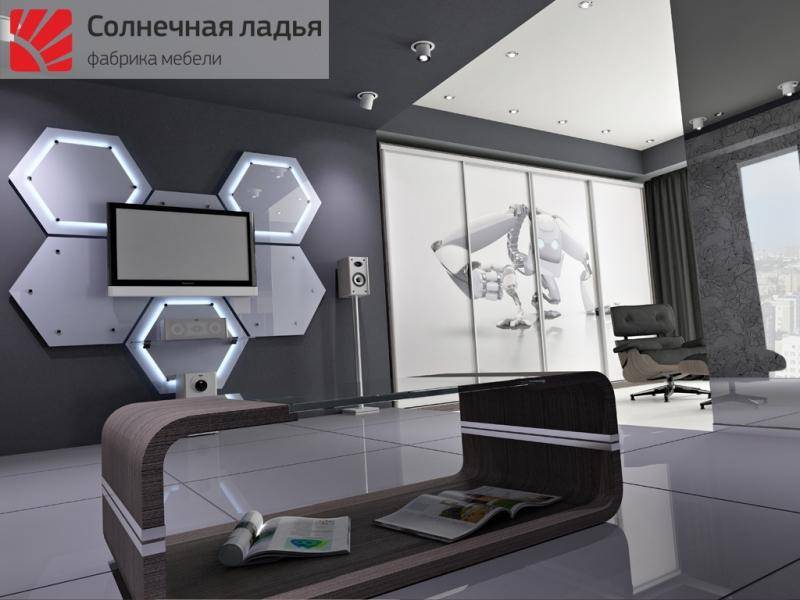 шкаф - купе для гостиной 11 в Костроме