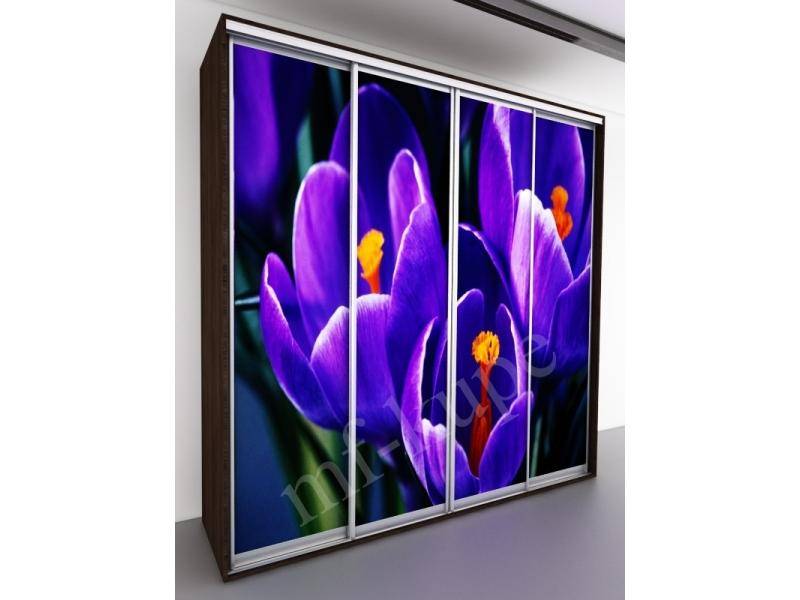 шкаф-купе бергамо violet 4 в Костроме