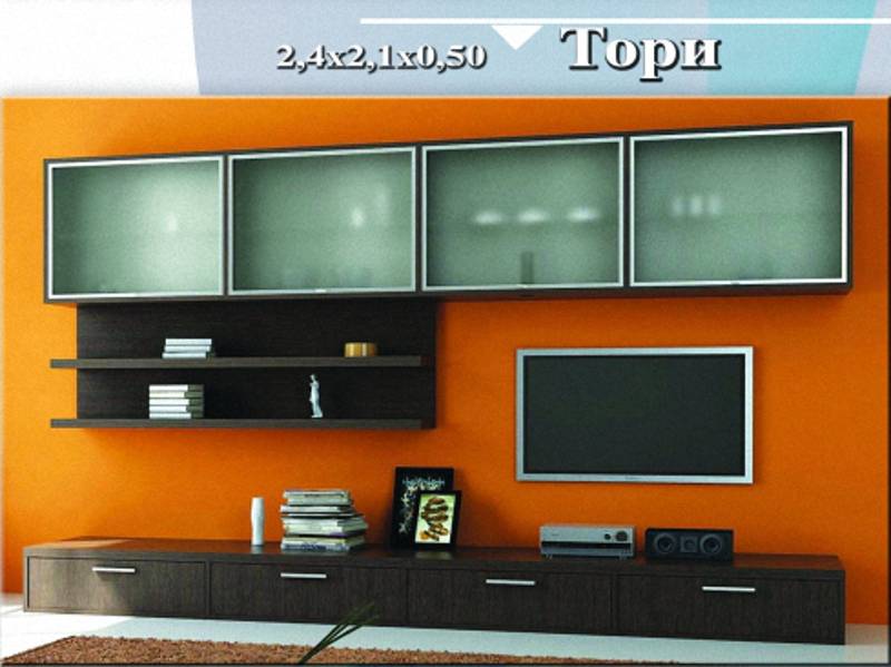 стенка «тори» в Костроме