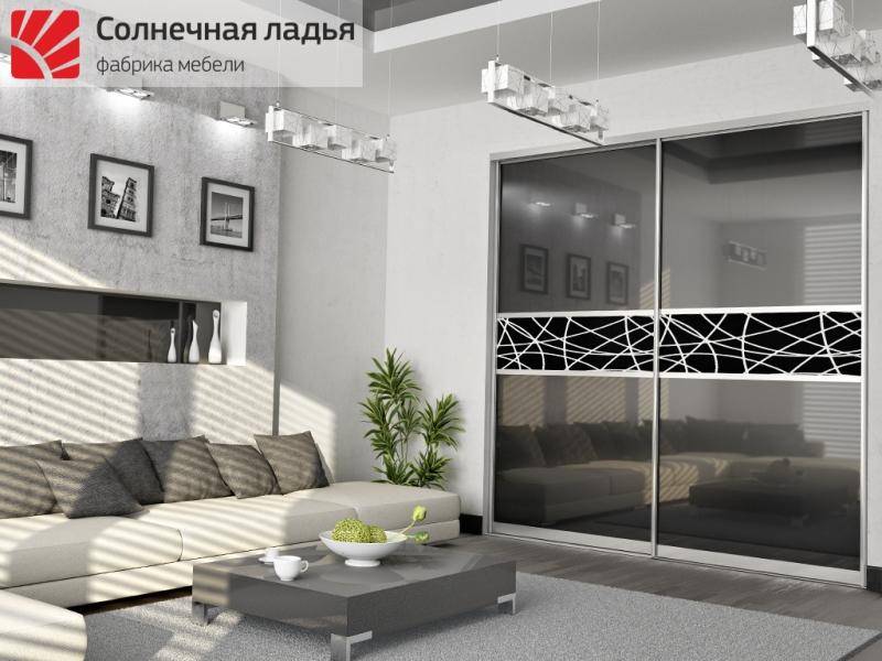 шкаф - купе для гостиной 10 в Костроме