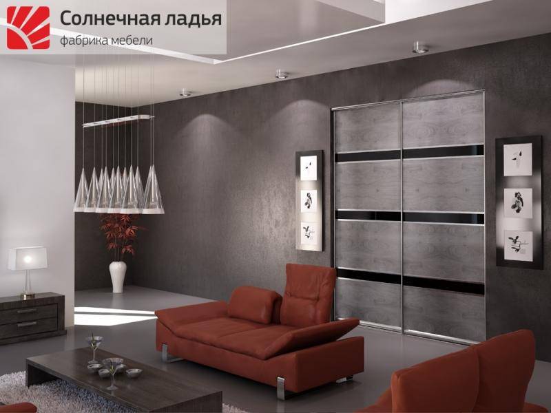 шкаф - купе для гостиной 18 в Костроме