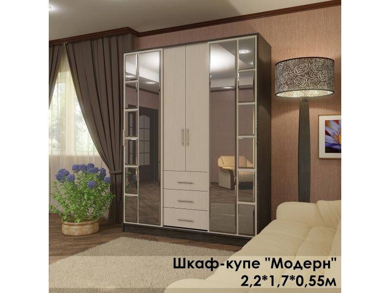 шкаф-купе в стиле модерн в Костроме