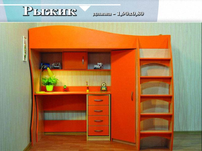 детская «рыжик» в Костроме