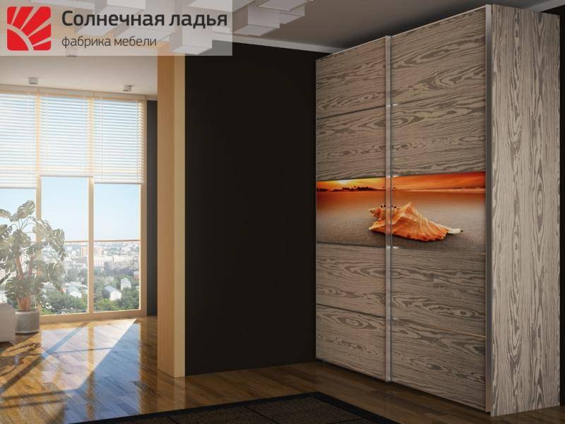 шкаф - купе для гостиной 2 в Костроме