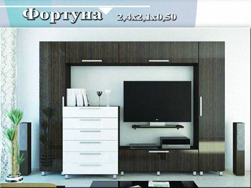 гостиная-стенка «фортуна» в Костроме
