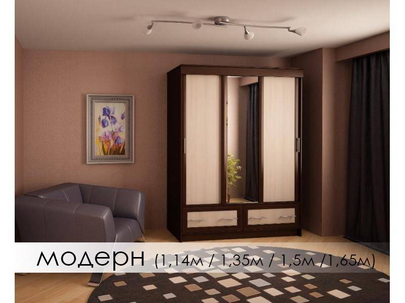 шкаф-купе модерн в Костроме