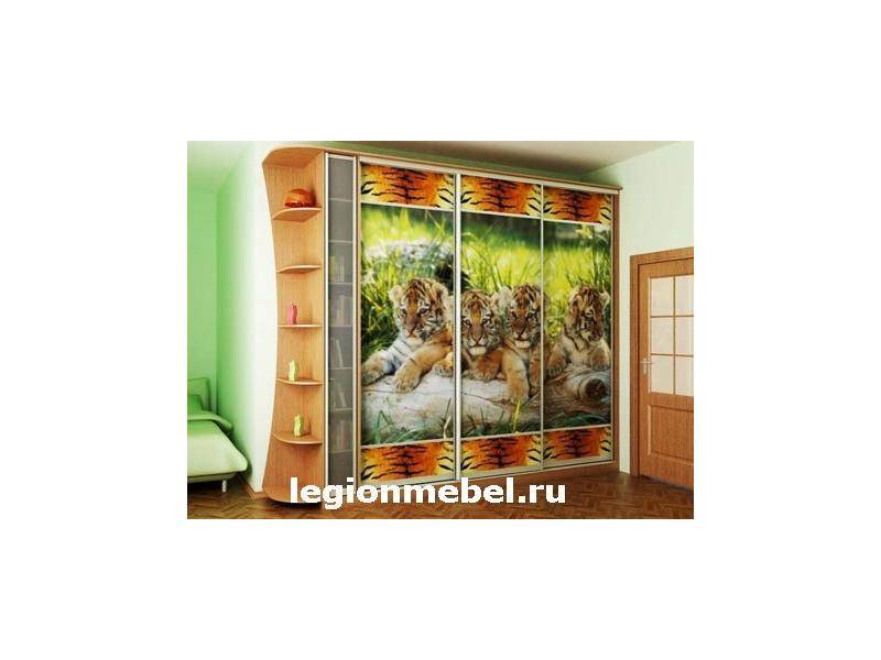 шкаф-купе с фотопечатью в Костроме