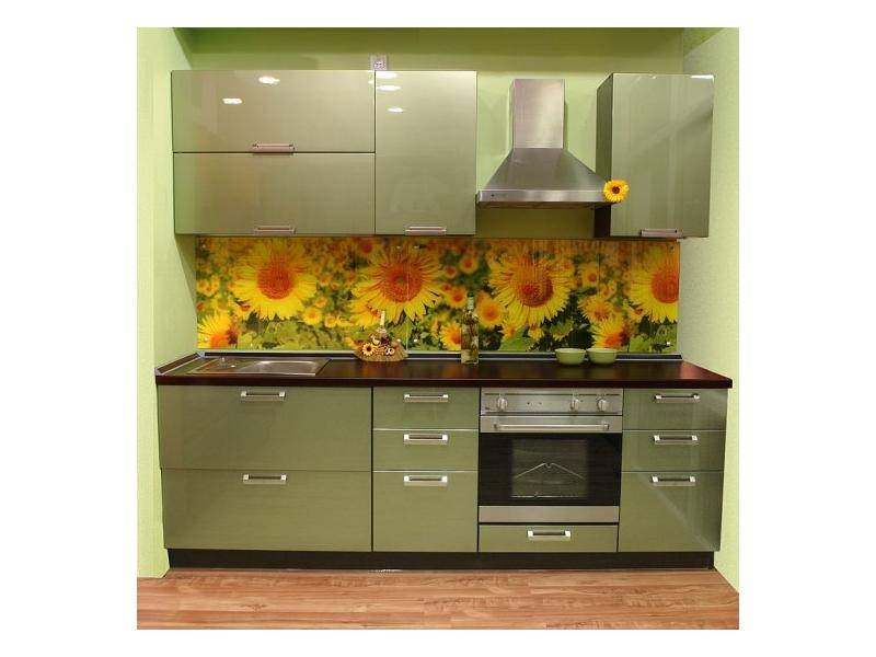 прямая кухня с фасадами из пластика алисия-2 в Костроме
