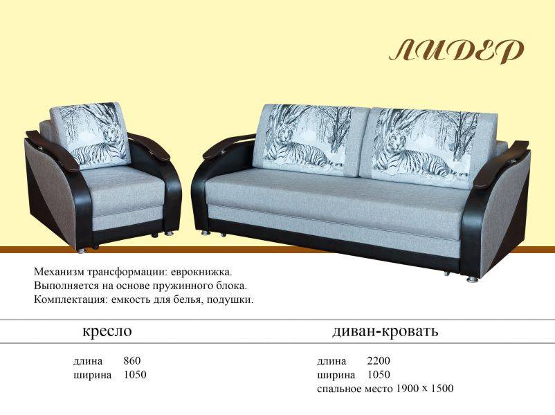 диван еврокнижка лидер в Костроме