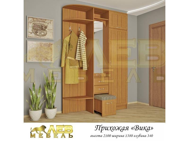 прихожая вика в Костроме