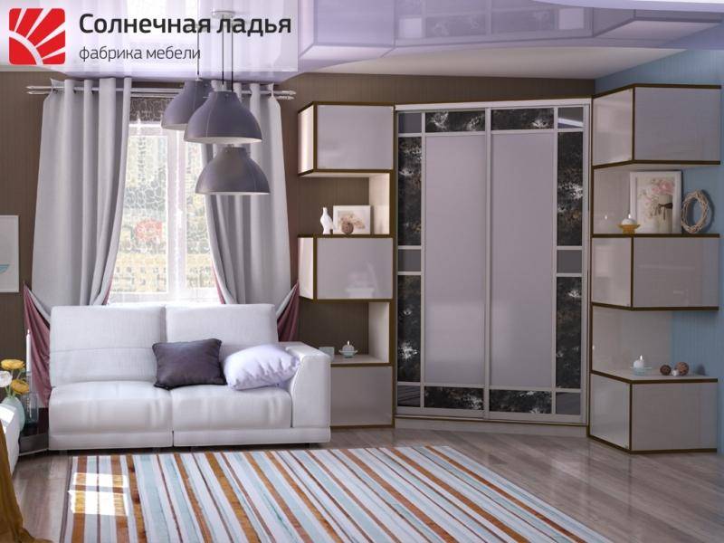 шкаф - купе для гостиной 16 в Костроме