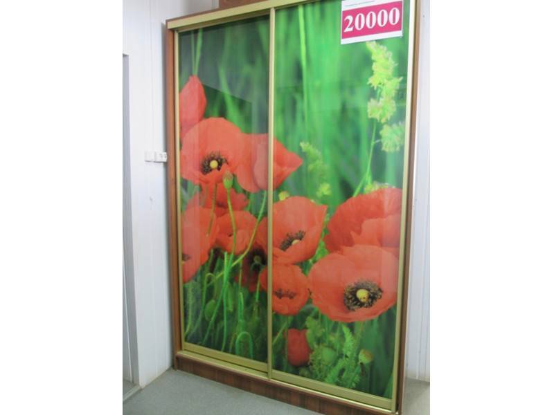 шкаф-купе 00002 в Костроме
