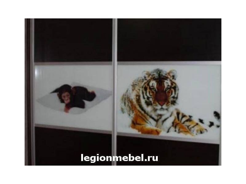 темный шкаф-купе с фотопечатью в Костроме