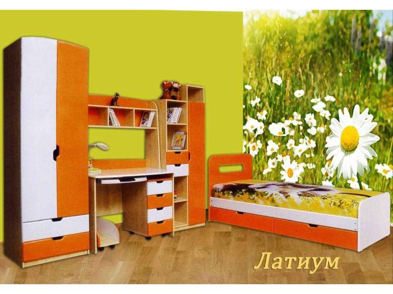 детская латиум в Костроме