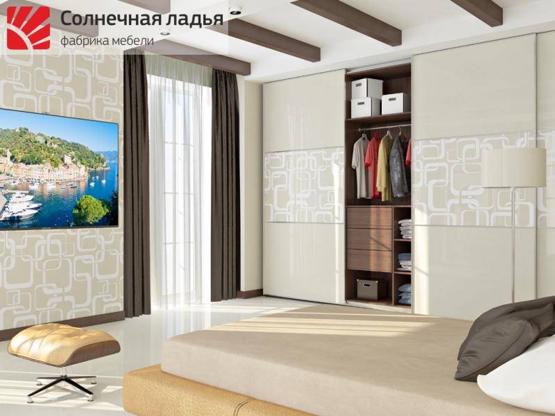 шкаф - купе для гостиной 8 в Костроме