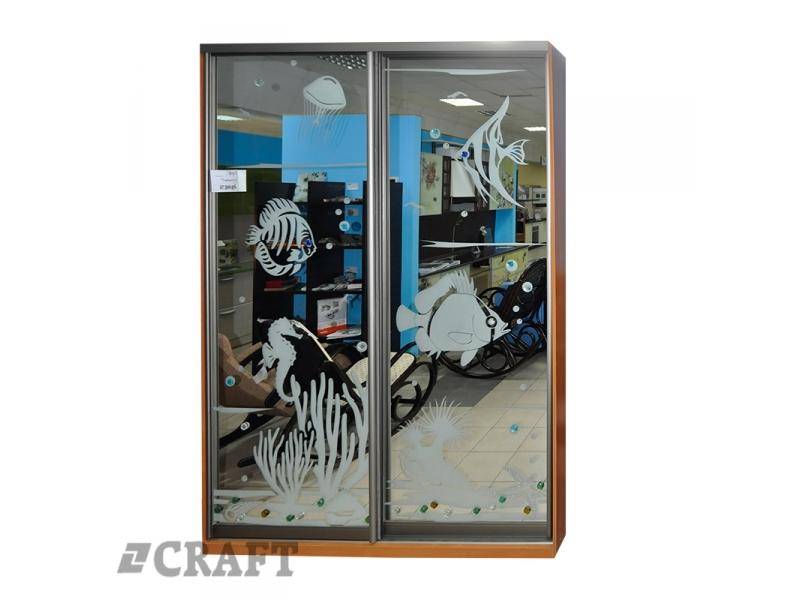 шкаф - купе рыбки в Костроме