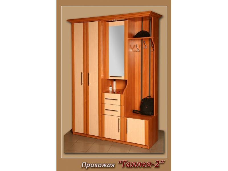 прихожая галлея в Костроме