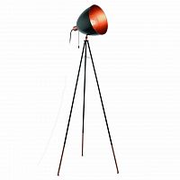 торшер eglo chester 49386 в Костроме