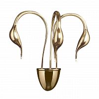 бра lightstar cigno collo 751632 в Костроме