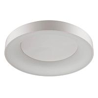потолочный светодиодный светильник odeon light sole 4062/80cl в Костроме