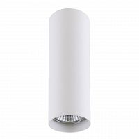 потолочный светильник lightstar rullo 214496 в Костроме
