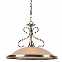 подвесной светильник arte lamp safari a6905sp-1ab в Костроме